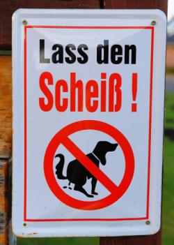 Wie schön wäre ein Leben ohne Hunde? (gedruckt) Wie schön wäre ein Leben ohne Hunde? (gedruckt)