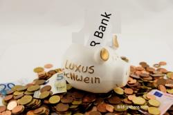 Sparschweine (mit Stellungsnahme des Vorstands der Volksbank Jever) Sparschweine (mit Stellungsnahme des Vorstands der Volksbank Jever)