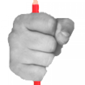 Hooligan Investoren (gedruckt) Ⓚ