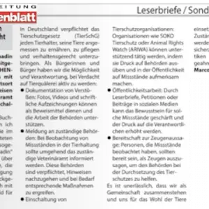 Wochenblatt: Entsetzen über die Vernachlässigung von Fjordpferden – Forderung nach konsequentem Handeln gegen die verantwortliche Halterin (gedruckt)