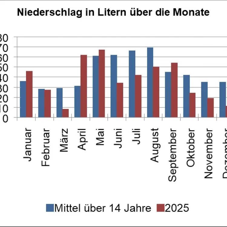 Der Kleingarten und das Wetter 2025 im Norden von Erfurt